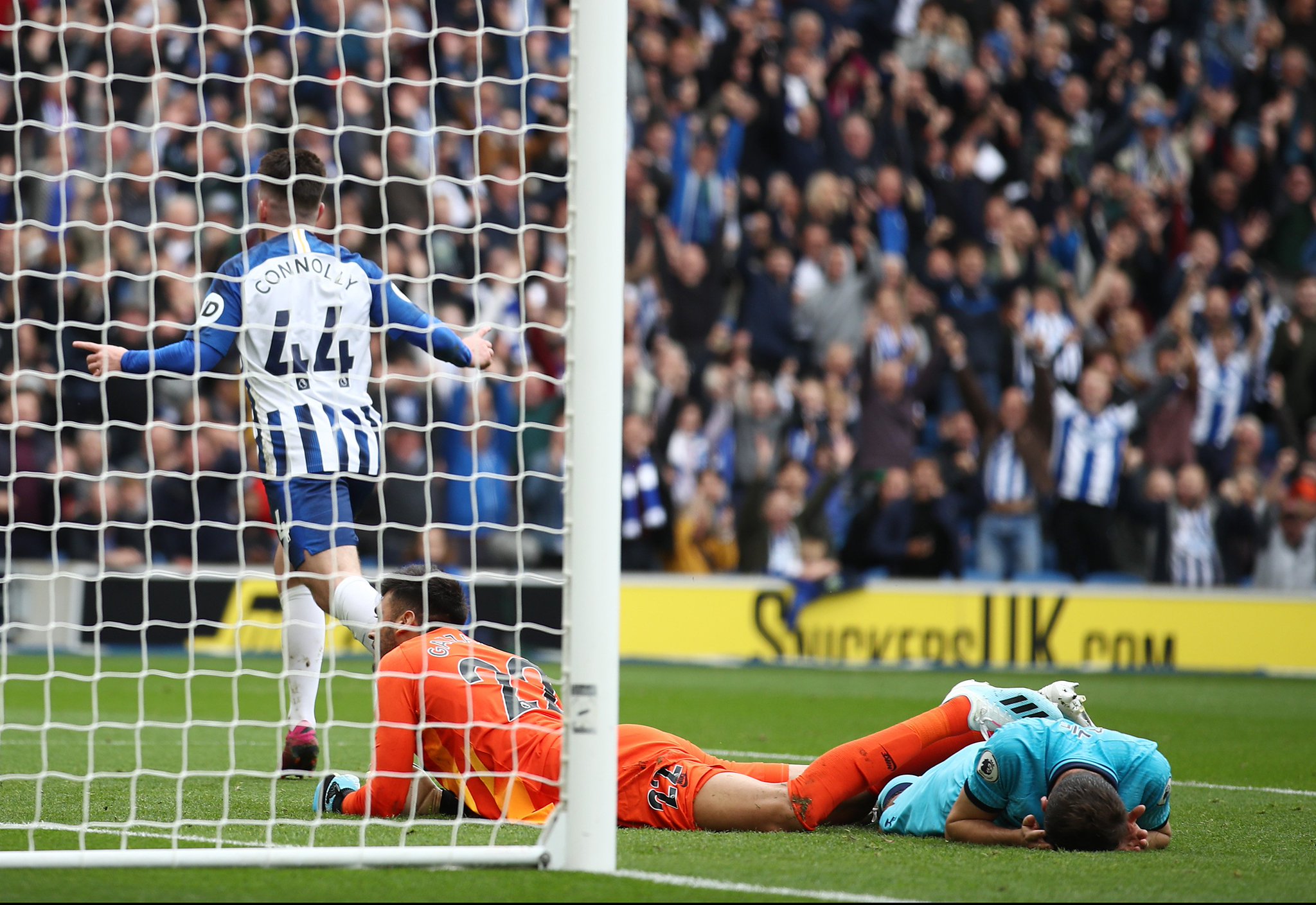 年轻才俊树 年轻才俊树